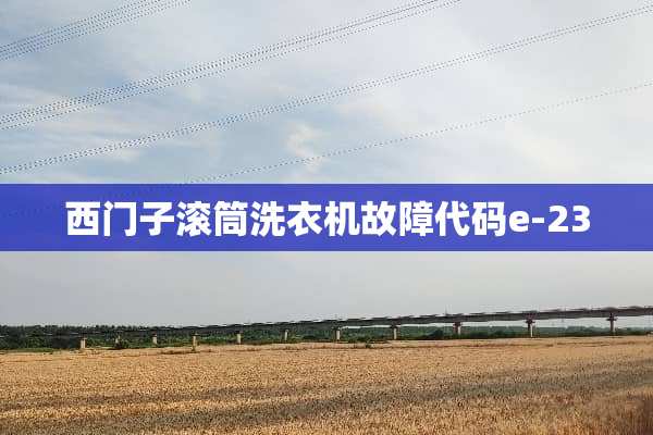 西门子滚筒洗衣机故障代码e-23