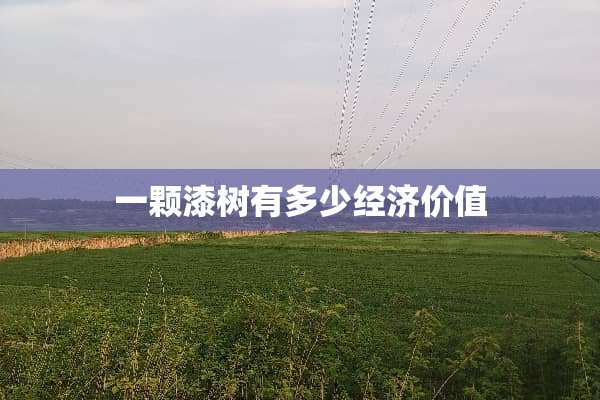一颗漆树有多少经济价值