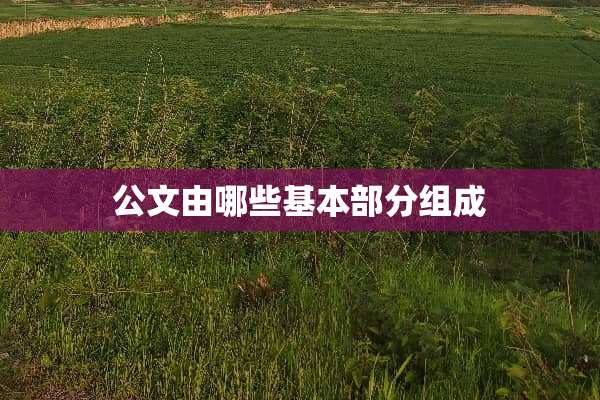 公文由哪些基本部分组成