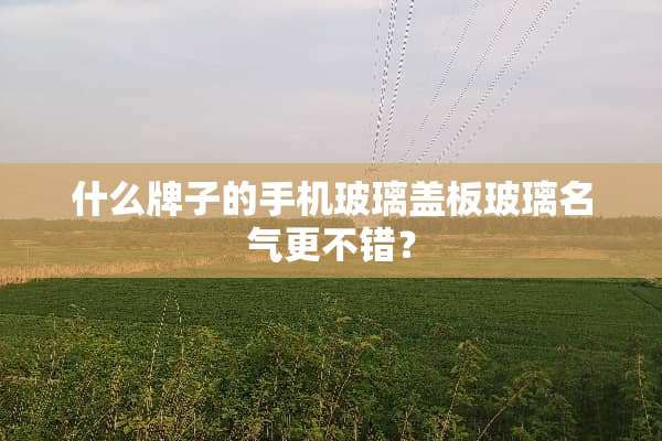 什么牌子的手机玻璃盖板玻璃名气更不错？