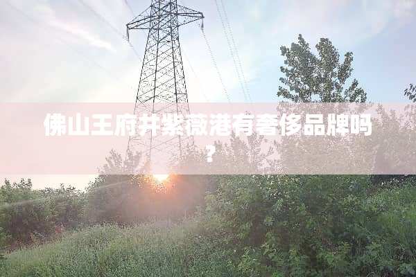 佛山王府井紫薇港有奢侈品牌吗？