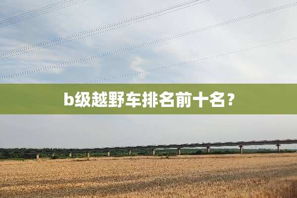 b级越野车排名前十名？