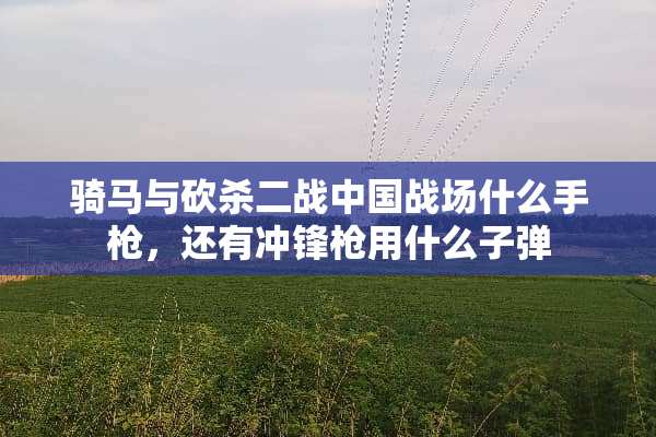 骑马与砍杀二战中国战场什么手*，还有冲锋*用什么**