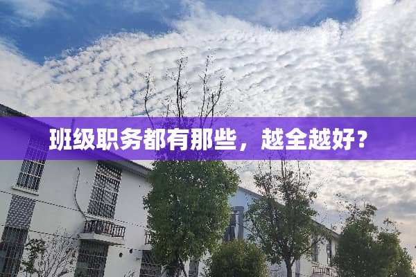 班级职务都有那些，越全越好？