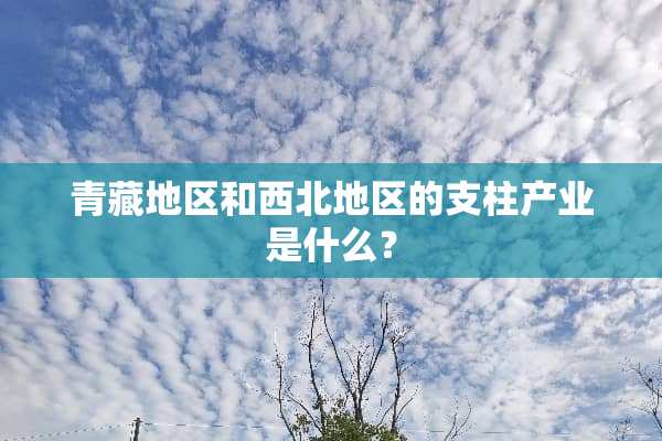 青藏地区和西北地区的支柱产业是什么？