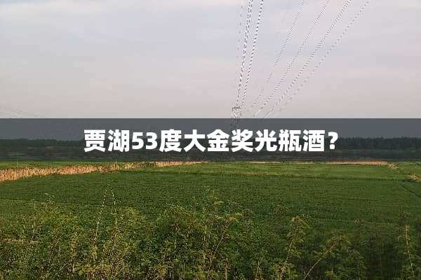 贾湖53度大金奖光瓶酒？