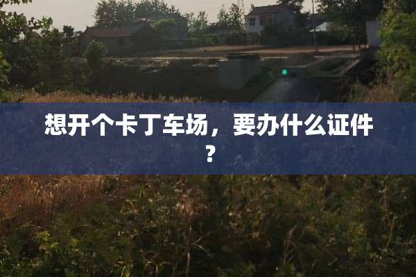想开个卡丁车场，要办什么**？