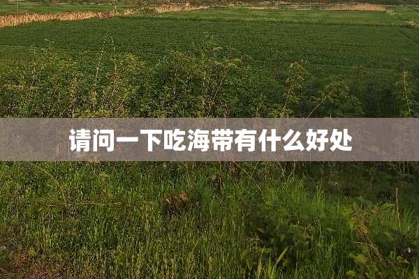 请问一下吃海带有什么好处