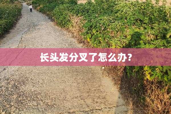 长头发分叉了怎么办？