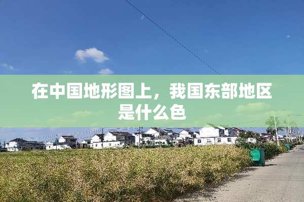 在中国地形图上，我国东部地区是什么色