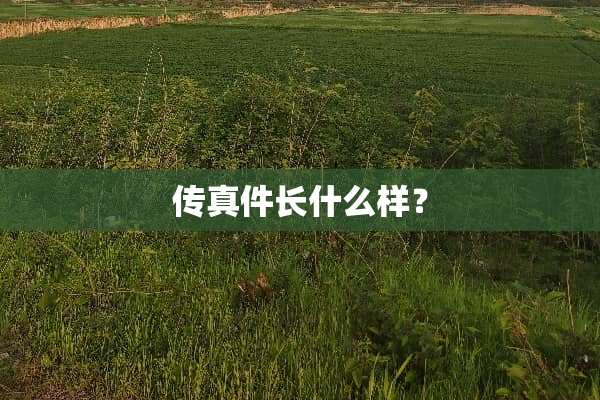 传真件长什么样？