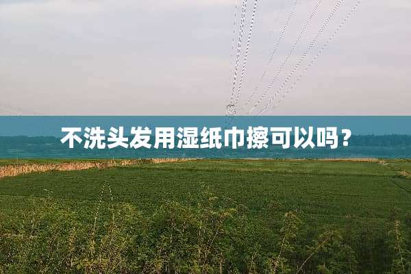 不洗头发用湿纸巾擦可以吗？