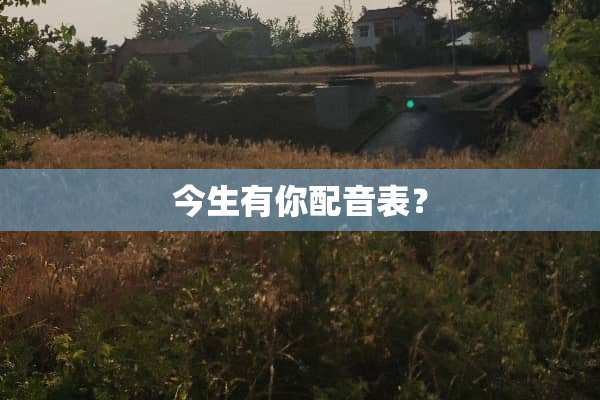 今生有你配音表？