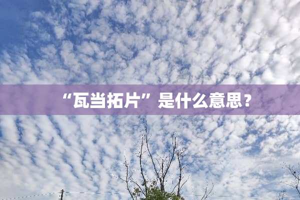 “瓦当拓片”是什么意思？