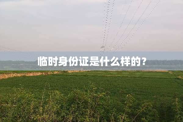 临时***是什么样的？