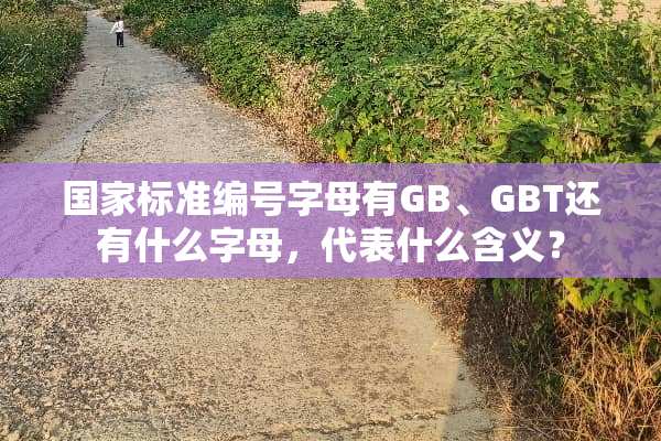 国家标准编号字母有GB、GBT还有什么字母，代表什么含义？