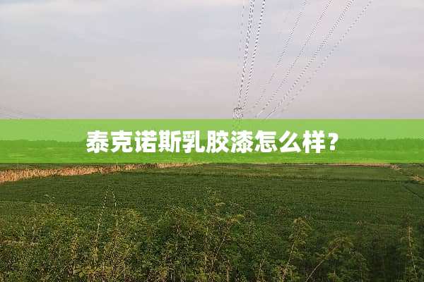 泰克诺斯*胶漆怎么样？