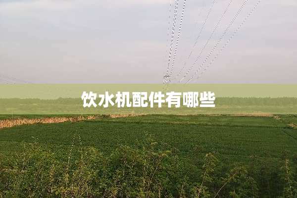 饮水机配件有哪些