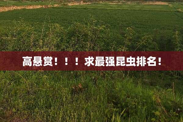 高悬赏！！！求最强昆虫排名！