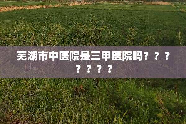 芜湖市中医院是三甲医院吗？？？？？？？