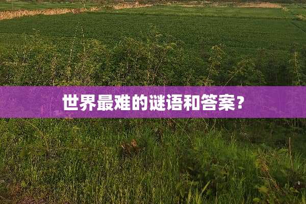 世界最难的谜语和答案？