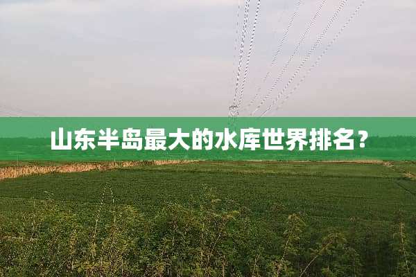 山东半岛最大的水库世界排名？