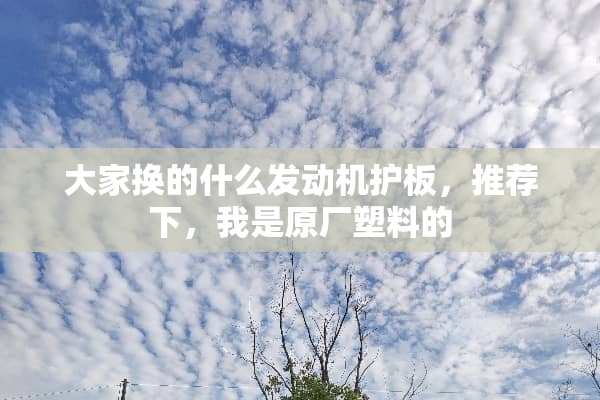 大家换的什么发动机护板，推荐下，我是原厂塑料的