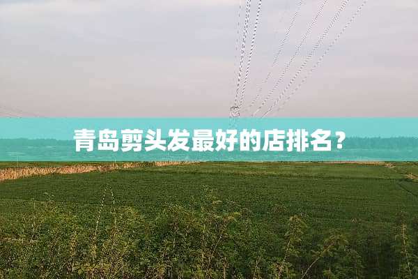 青岛剪头发最好的店排名？