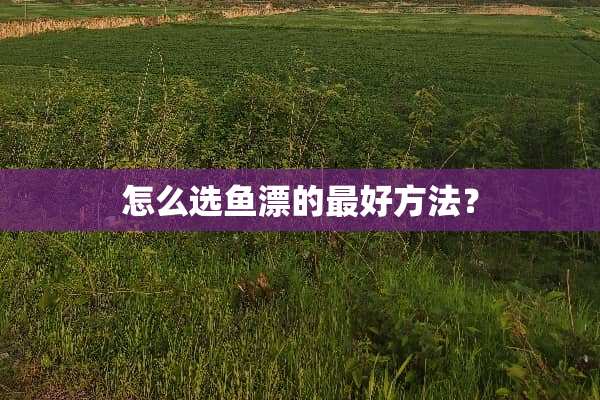 怎么选鱼漂的最好方法？