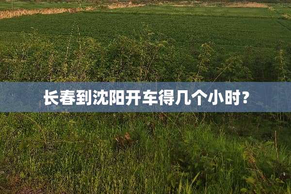 长春到沈阳开车得几个小时？