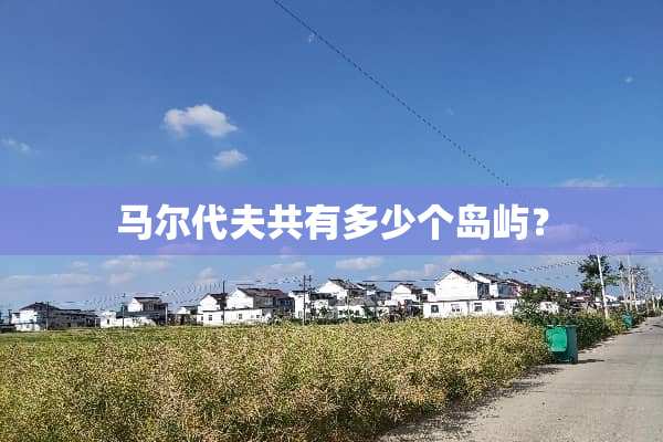 马尔代夫共有多少个岛屿？