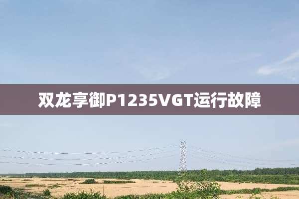 双龙享御P1235VGT运行故障