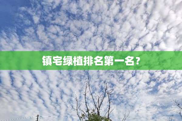 镇宅绿植排名第一名？