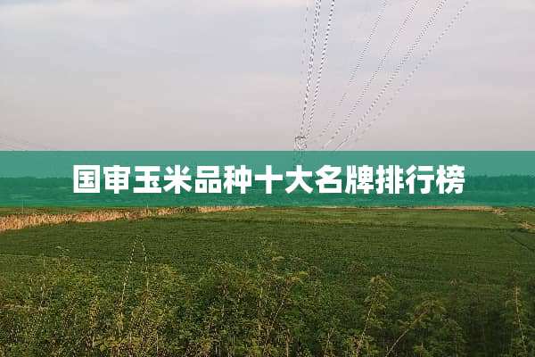 国审玉米品种十大名牌排行榜