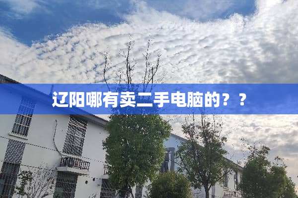 辽阳哪有卖二手电脑的？？