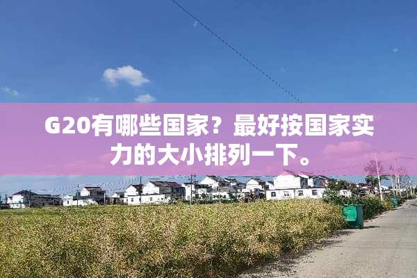 G20有哪些国家？最好按国家实力的大小排列一下。