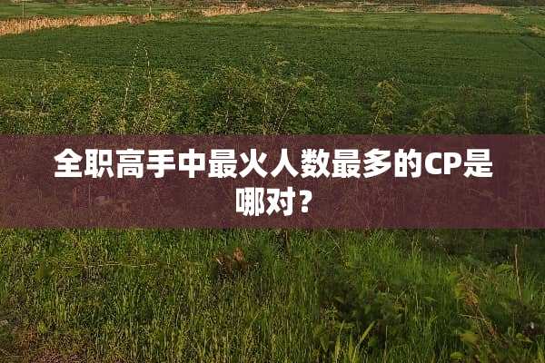 **高手中最火人数最多的CP是哪对？