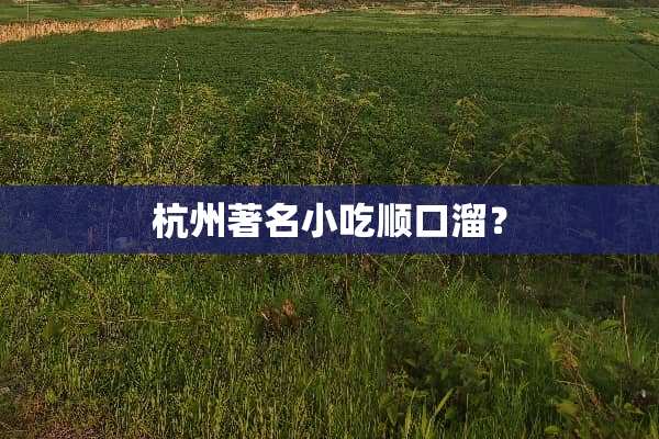 杭州著名小吃顺口溜？