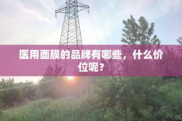 医用面膜的品牌有哪些，什么价位呢？