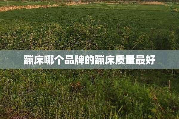 蹦床哪个品牌的蹦床质量最好