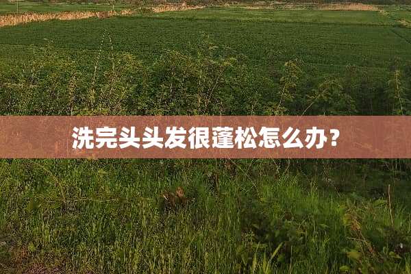 洗完头头发很蓬松怎么办？