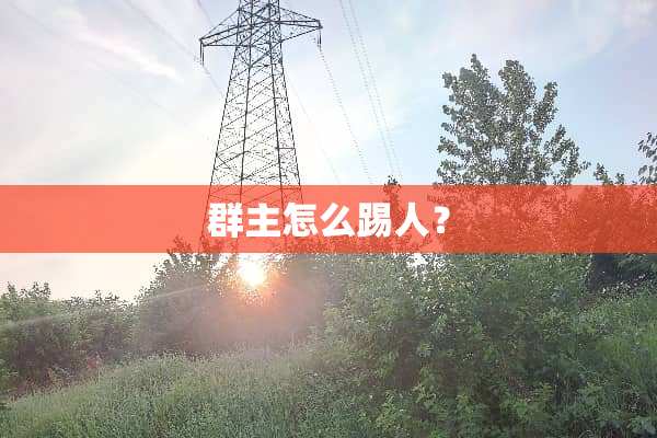 群主怎么踢人？