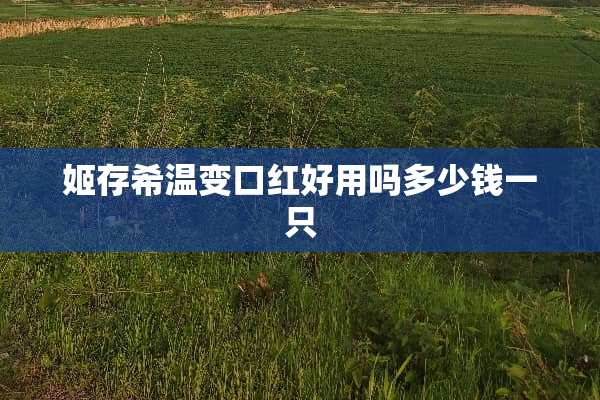 姬存希温变口红好用吗多少钱一只