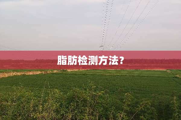脂肪检测方法？