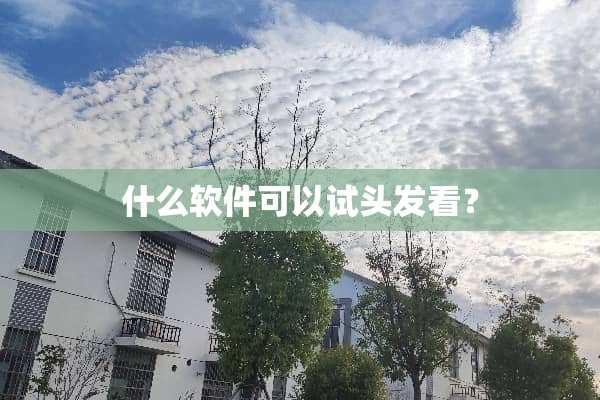 什么软件可以试头发看？