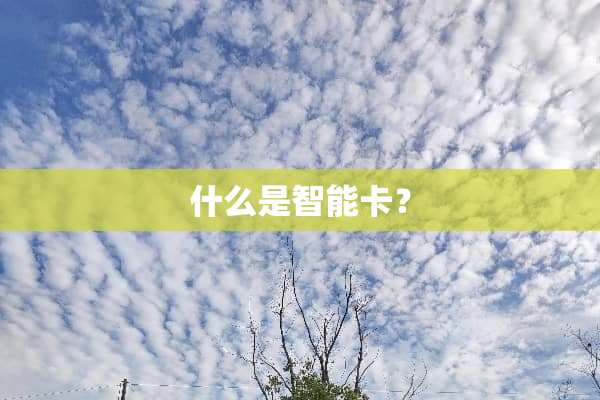 什么是智能卡？