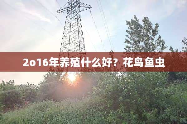 2o16年养殖什么好？花鸟鱼虫