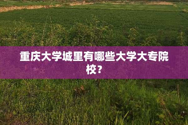 重庆大学城里有哪些大学大专院校？