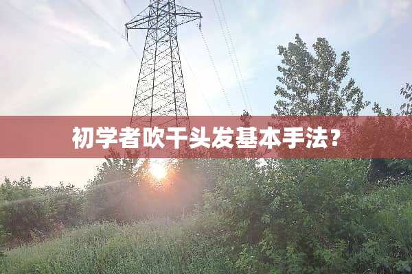 初学者吹干头发基本手法？