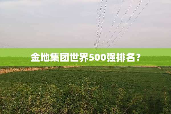 金地集团世界500强排名？